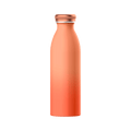 Bottiglia termica 500 ml